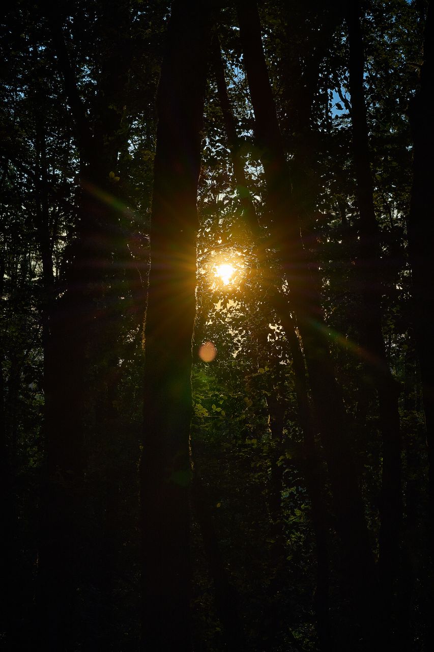 Paysage Couché de soleil 0227